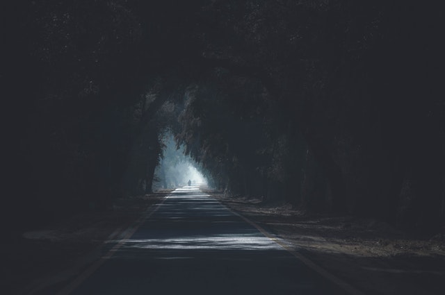 tmavá silnice zahalená stromy